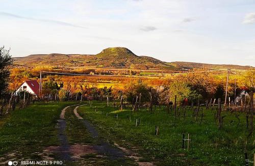 Kisapati Maison | Ágnes almái Ágnes apples