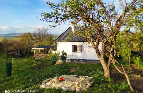 Kisapati Maison | Ágnes almái Ágnes apples