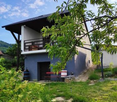 Kisapati Maison | Ágnes almái Ágnes apples