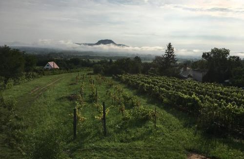 Kisapati Maison | Ágnes almái Ágnes apples