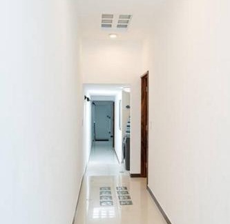 Zitacuaro Appartement | Árbol de Guanacaste
