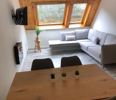 Canfranc-Estacion Appartement | Ático Europa, Canfranc estación