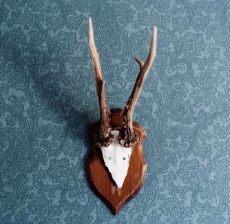 Are Lit Et Petit-Déjeuner | Åre Bed & Breakfast