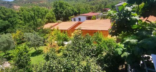 Tasbuku Chalet De Ski | Çamlı Bungalow Evleri