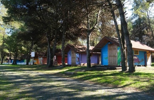 Unye Chalet De Ski | ÇINARSUYU TABİAT PARKI BUNGALOV