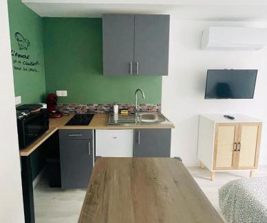Saint-Romain-en-Gal Appartement | Éclat St Romain 2, studio-moderne-WIFI- parking - CLIM