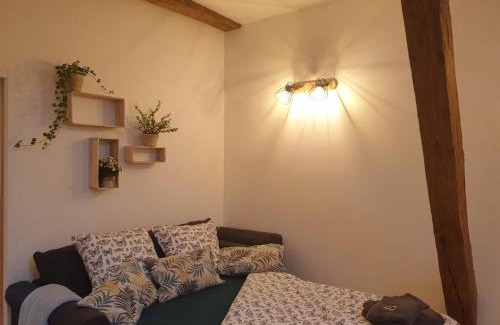 Cenans Maison | Écrin de Nature en bord de rivière