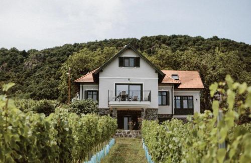 Badacsony Maison | Éliás Borbirtok