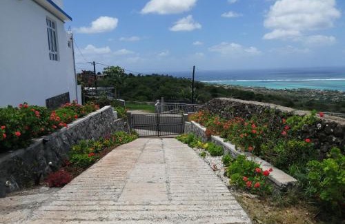 Coromandel Maison | Ô Bercail du Sud-Hibiscus chez Jeannette