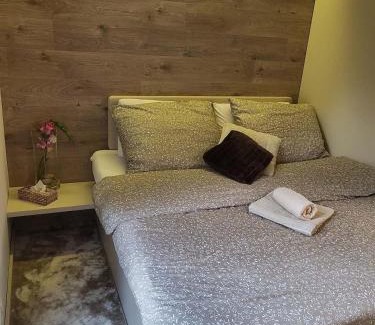 Rokytnice nad Jizerou Appartement | Útulný apartmán Rokytnice nad Jizerou
