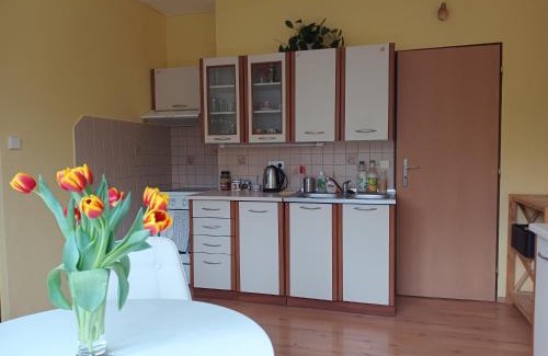 Hejnice Appartement | Útulný byteček v Hejnicích