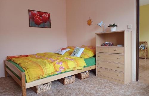Hejnice Appartement | Útulný byteček v Hejnicích