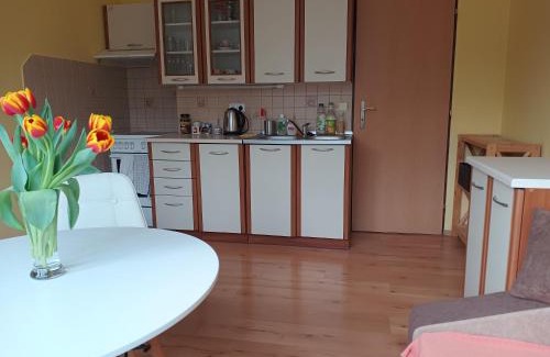 Hejnice Appartement | Útulný byteček v Hejnicích