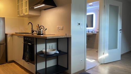 Zernovka Appartement | Útulný podkrovní ateliér se zahradou