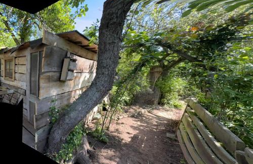 Berka/Werra Autre | Übernachtung bei den Alpakas im Naturgarten Eigener Schlafsack