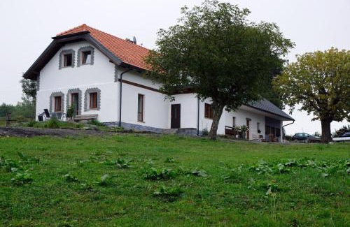 Cestin Maison | Čenovický dvůr