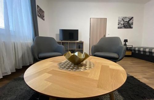 Plzen 2-Slovany Appartement | Černá Růže - Apartmán 3