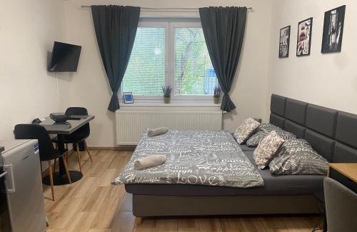 Plzen 2-Slovany Appartement | Černá Růže - Apartmán 7