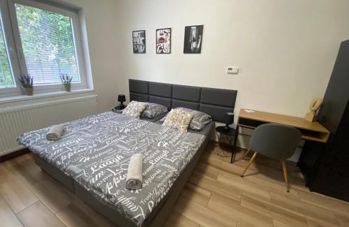 Plzen 2-Slovany Appartement | Černá Růže - Apartmán 7