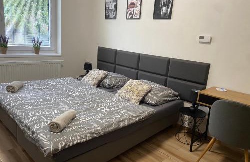Plzen 2-Slovany Appartement | Černá Růže - Apartmán 7