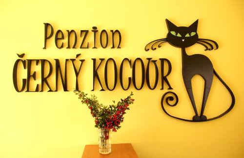 Sarovy Appartement | Černý Kocour Apart hotel