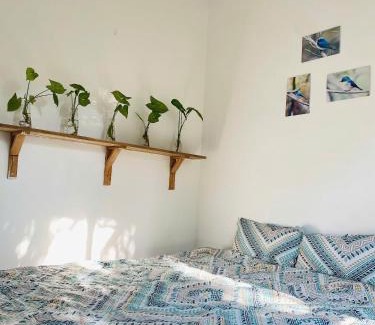 Son Tay Maison | Đường Lâm Homestay - Elephant's House
