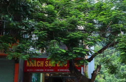 Cao Bang Hôtel | Đức Khôi Hotel