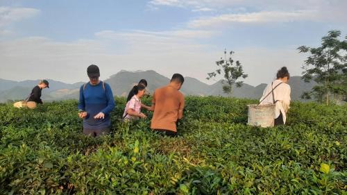 Ngoi Tu Maison | Đức Tới Farmstay