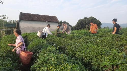 Ngoi Tu Maison | Đức Tới Farmstay