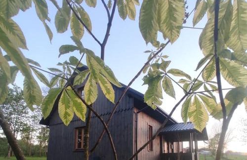 gmina Pawłow Maison | Świętokrzyskie Stodoła Kasztanowa Aleja Radkowice