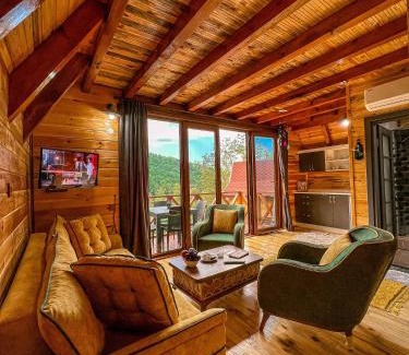 Sapanca Hôtel | Şifaköy Bungalov