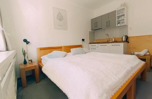 Tatranska Strba Appartement | Štúdio Srnček - Tatranská Štrba - wellness, bazén