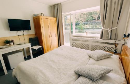 Tatranska Strba Appartement | Štúdio Srnček - Tatranská Štrba - wellness, bazén