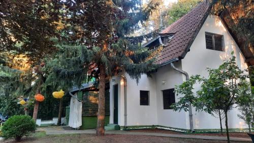 Banatski Karlovac Maison | Šumska kuća Atina - Devojački Bunar