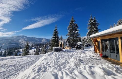 Colibita Cabine | Ținutul Lupilor