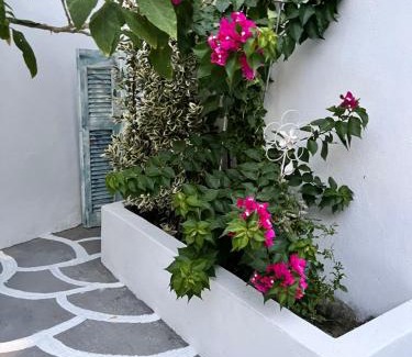 Agia Maison | Ευχάριστο εξοχικό σπίτι!