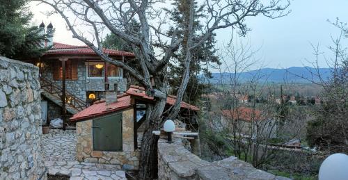 Lilaia Maison | Η θέα Τhe View