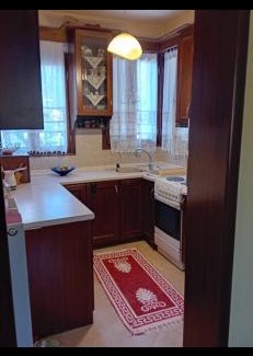 Elassona Appartement | Καραναστάση
