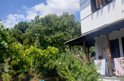 Milies Maison | ΠΗΛΙΟΡΕΙΤΙΚΟ ΝΕΟΑΡΧΟΝΤΙΚΟ ΣΤΙΣ ΜΗΛΙΕΣ