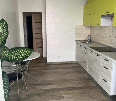Maliyevtsy Appartement | Апартаменти Люкс 6
