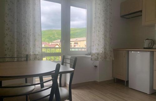 Rakhiv Appartement | Апартаменти Monte