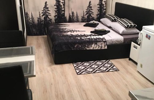 Zvezdnoe Appartement | Апартаменты "ДоМиНо"
