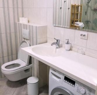 Uzhhorod Appartement | Апартаменты SILENA