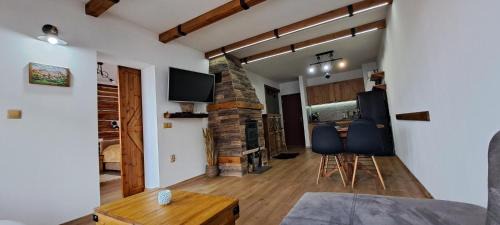 Shiligarnika Appartement | апартамент Гигови