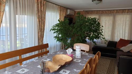 Dobrovelychkivka Maison | Будинок на воді