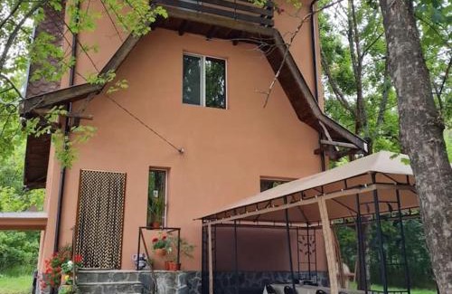 Tsigov Chark Maison | Вила Вайлин