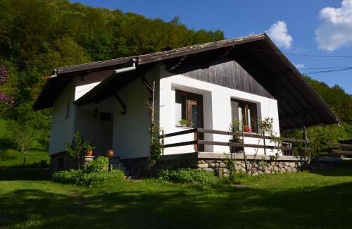 Ribaritsa Villa | Вила Даяна