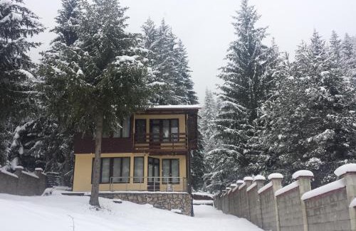 Sarnitsa Maison | Вила Мерджан