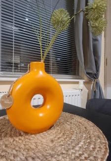 Pleven Appartement | Дунав билдингс 3
