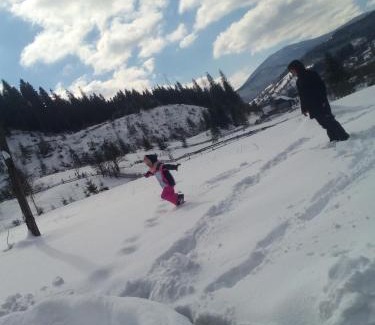 Roztoky Chalet De Ski | Еко садиба в Карпатах Лостун